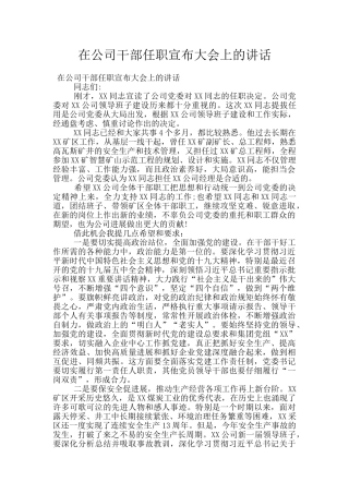 在公司干部任职宣布大会上的讲话
