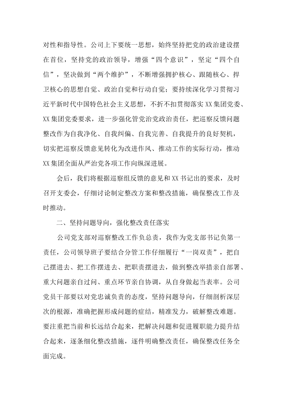 在公司巡察反馈会上的表态发言提纲_第2页