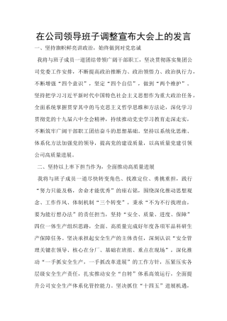 在公司领导班子调整宣布大会上的发言