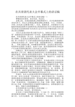 在共青团代表大会开幕式上的讲话稿