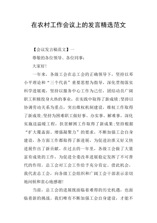 在农村工作会议上的发言精选范文