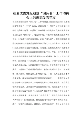 在发改委党组巡察“回头看”工作动员会上的表态发言范文