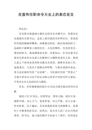 在宣布任职命令大会上的表态发言
