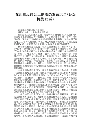 在巡察反馈会上的表态发言大全