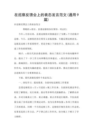 在巡察反馈会上的表态发言范文
