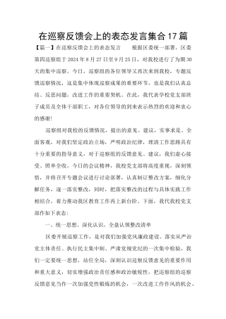 在巡察反馈会上的表态发言集合17篇