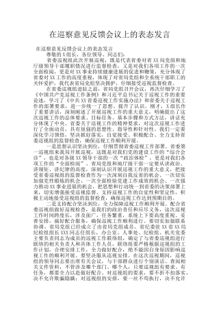 在巡察意见反馈会议上的表态发言