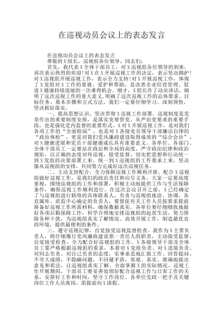 在巡视动员会议上的表态发言