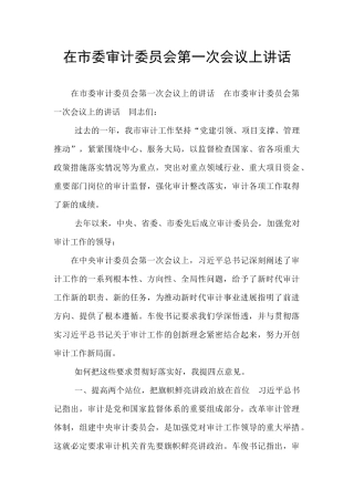 在市委审计委员会第一次会议上讲话