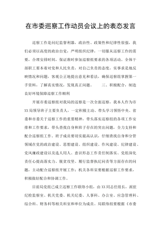 在市委巡察工作动员会议上的表态发言