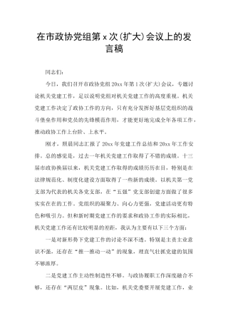在市政协党组第x次会议上的发言稿