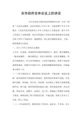在市政府全体会议上的讲话