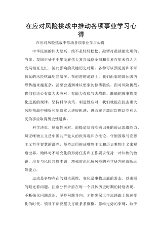 在应对风险挑战中推进各项事业学习心得