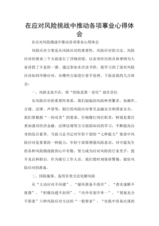 在应对风险挑战中推进各项事业心得体会