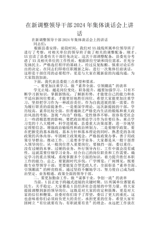 在新调整领导干部2024年集体谈话会上讲话