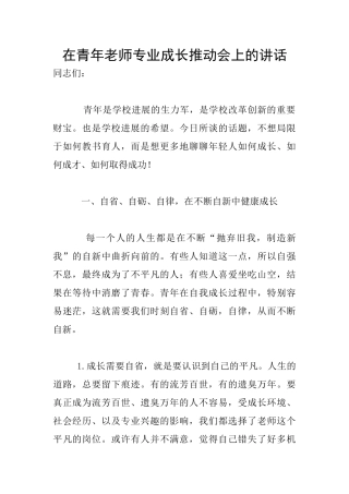 在青年教师专业成长推进会上的讲话