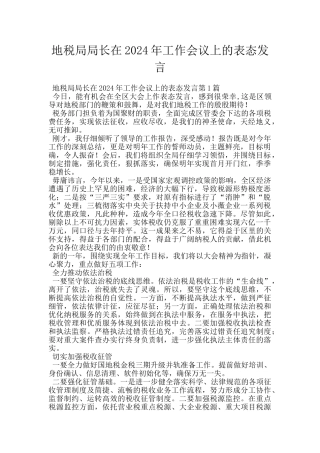地税局局长在2024年工作会议上的表态发言