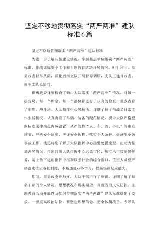 坚定不移地贯彻落实“两严两准”建队标准6篇