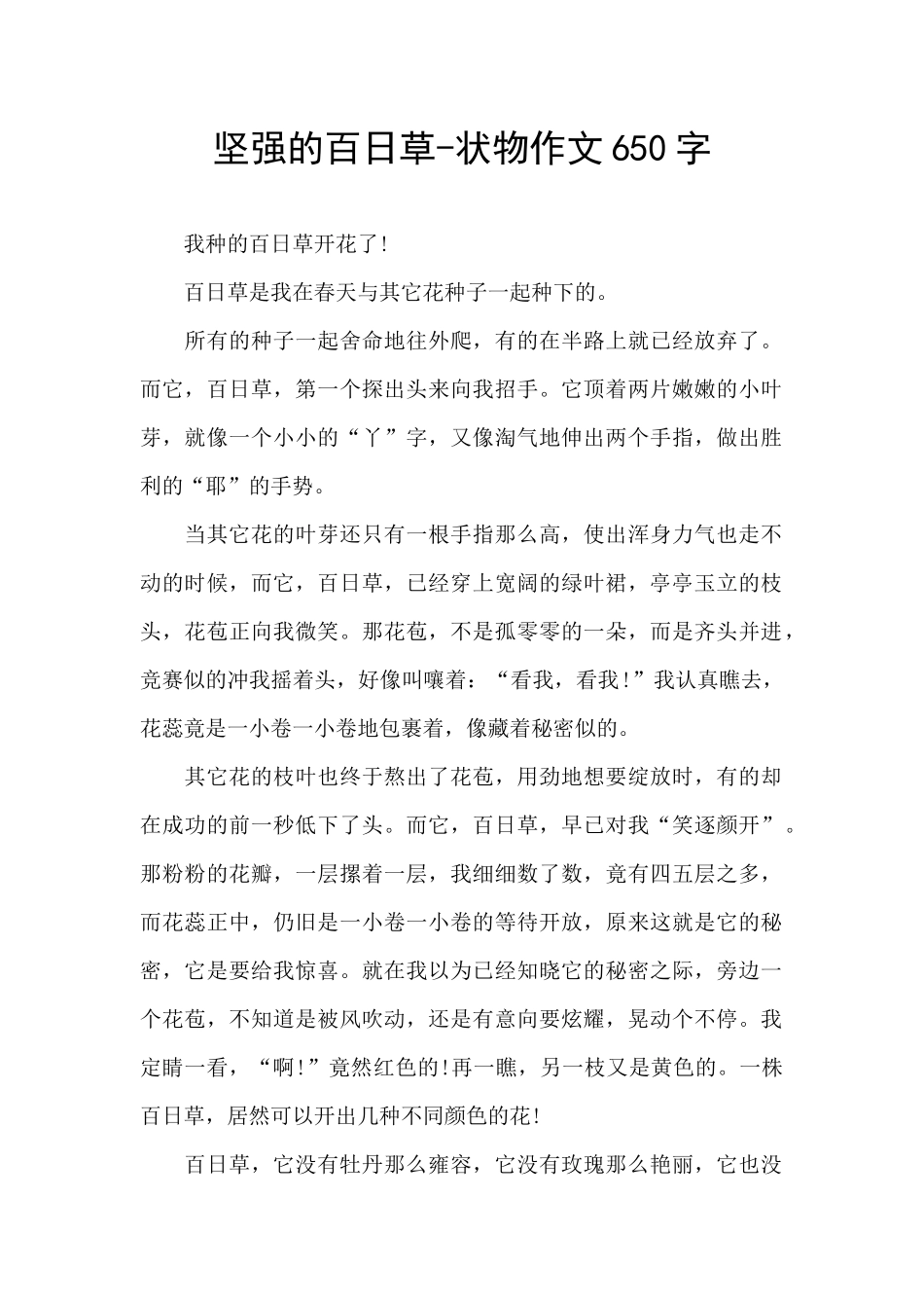坚强的百日草_第1页