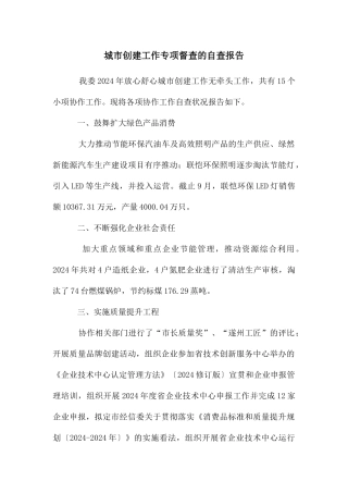 城市创建工作专项督查的自查报告