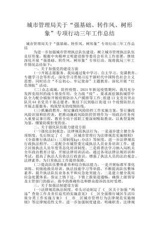 城市管理局关于“强基础、转作风、树形象”专项行动三年工作总结