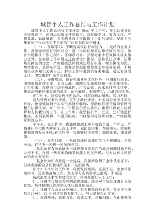 城管个人工作总结与工作计划