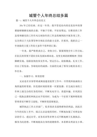 城管个人年终总结多篇