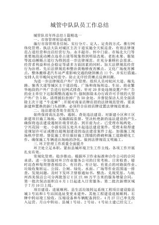 城管中队队员工作总结