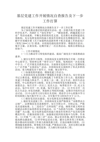 基层党建工作开展情况自查报告及下一步工作打算