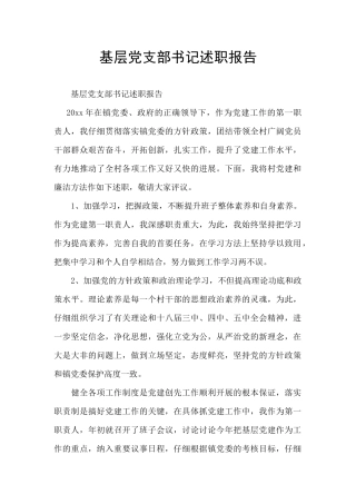 基层党支部书记述职报告