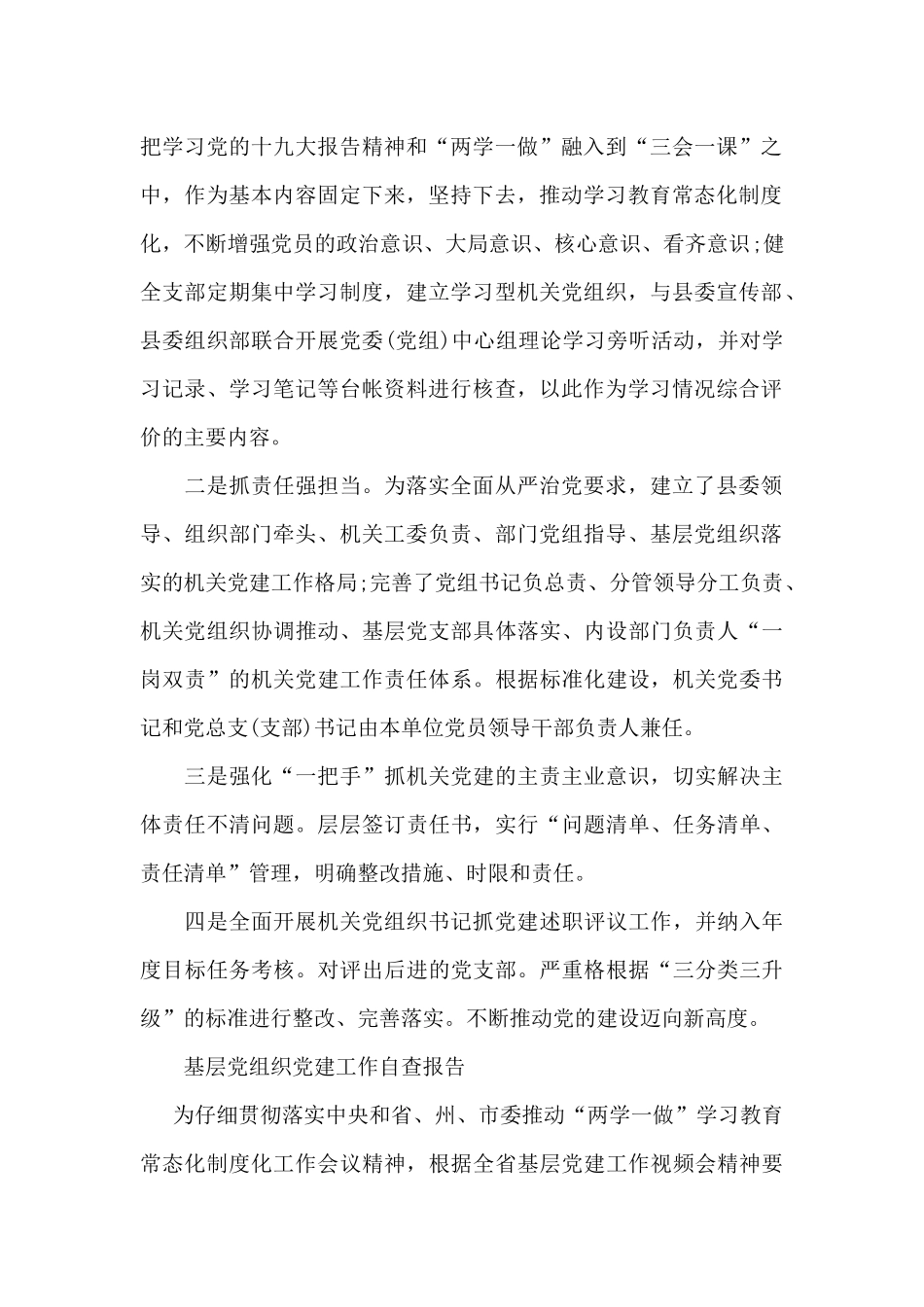 基层党组织党建工作自查报告_第2页