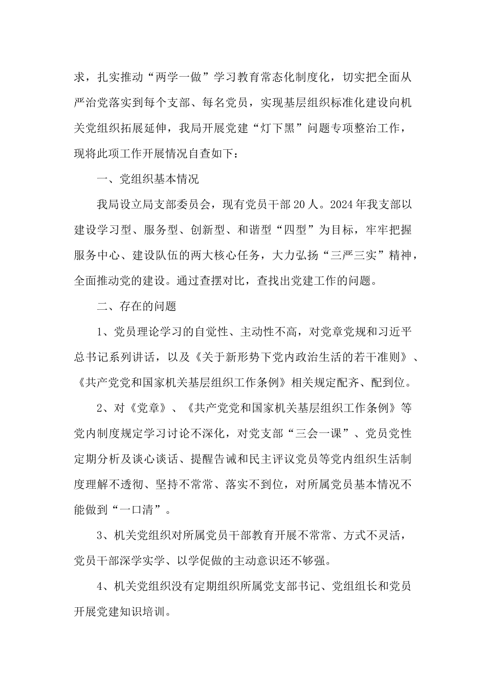 基层党组织党建工作自查报告_第3页