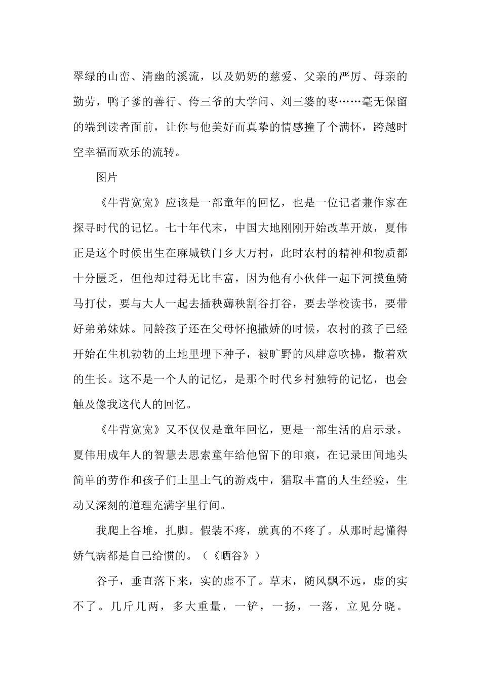 夏伟《牛背宽宽》读后感_第3页