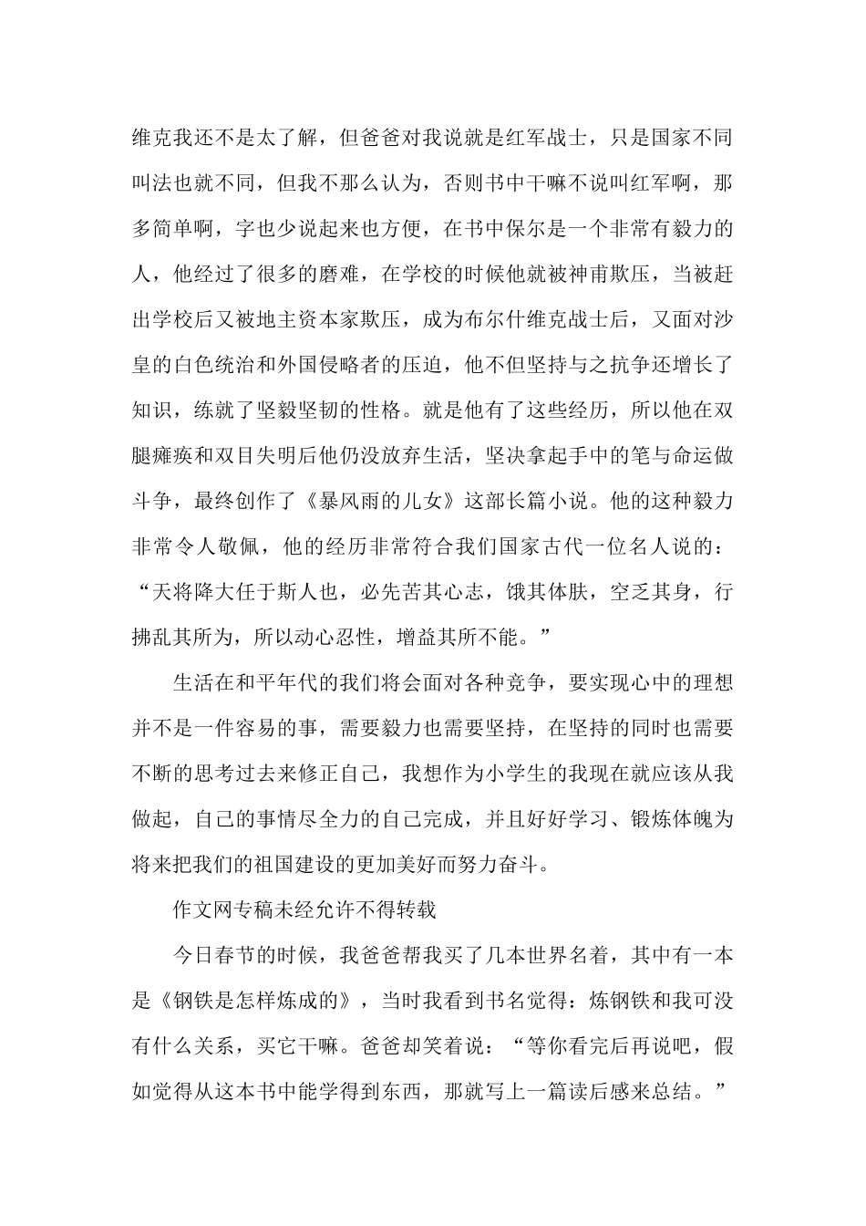 外国名著钢铁是怎样炼成的读后感精选作文_第2页
