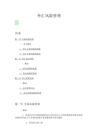 外汇风险管理