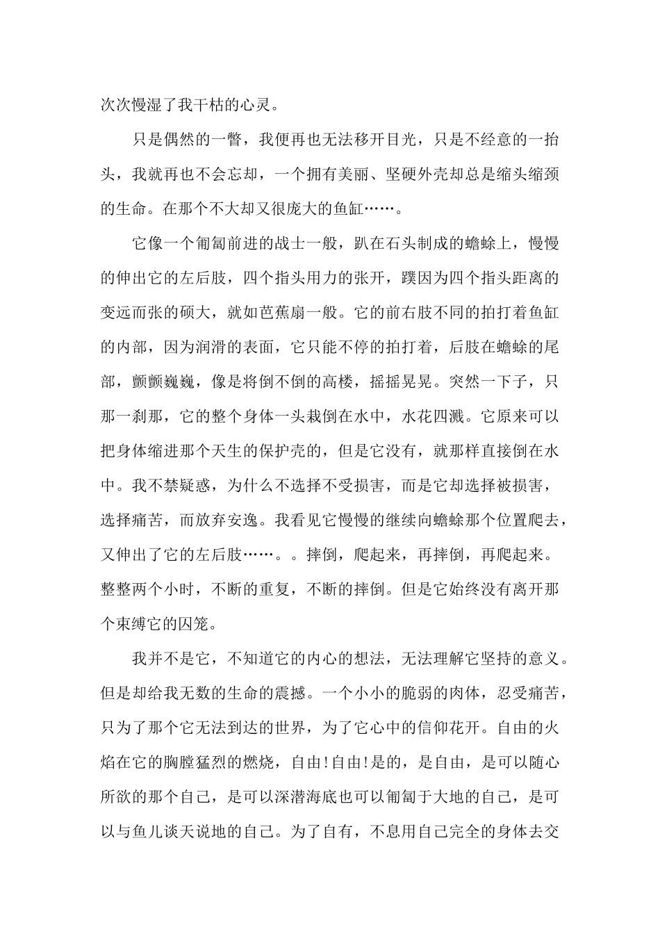 外面的世界5篇作文_第3页