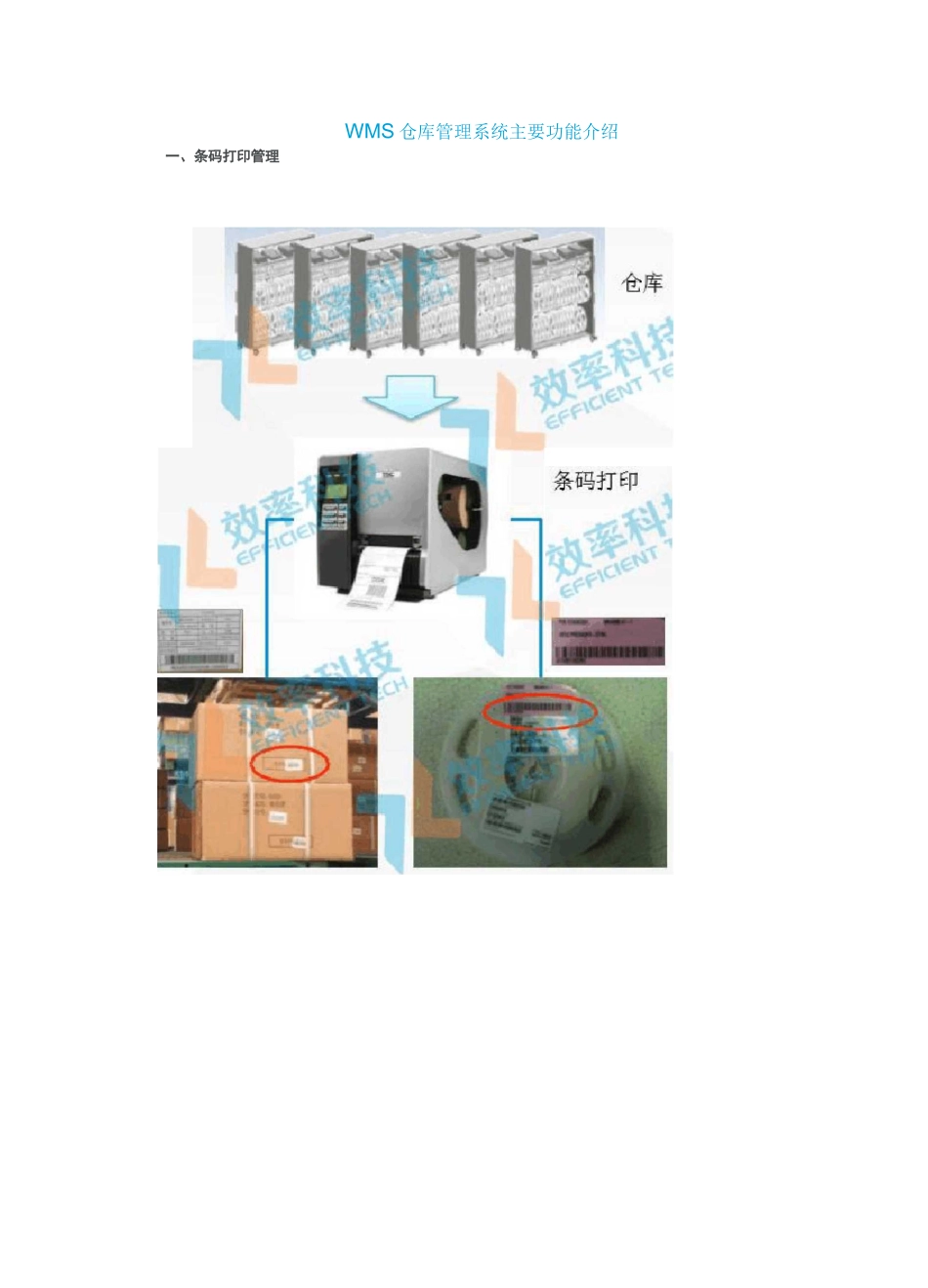 WMS仓库管理系统主要功能介绍_第1页