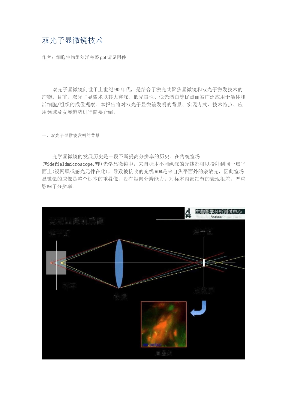 双光子显微镜技术_第1页