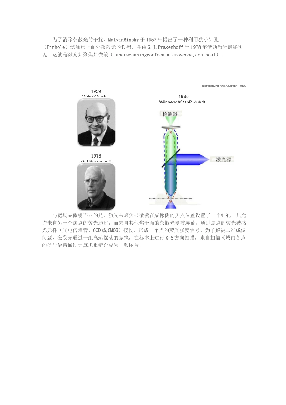 双光子显微镜技术_第2页