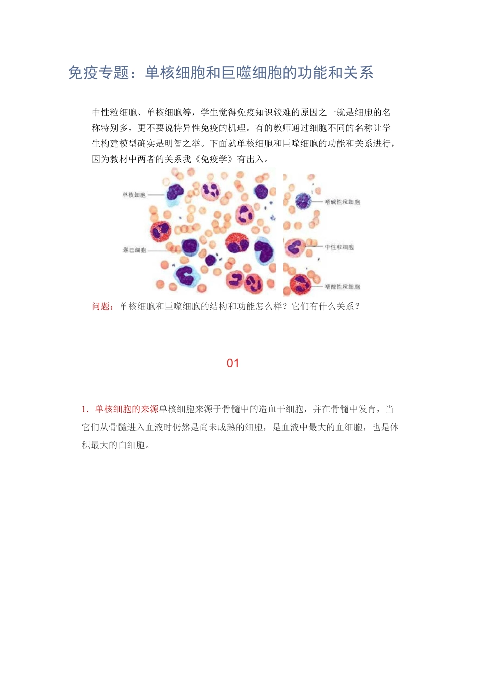 免疫专题：单核细胞和巨噬细胞的功能和关系_第1页