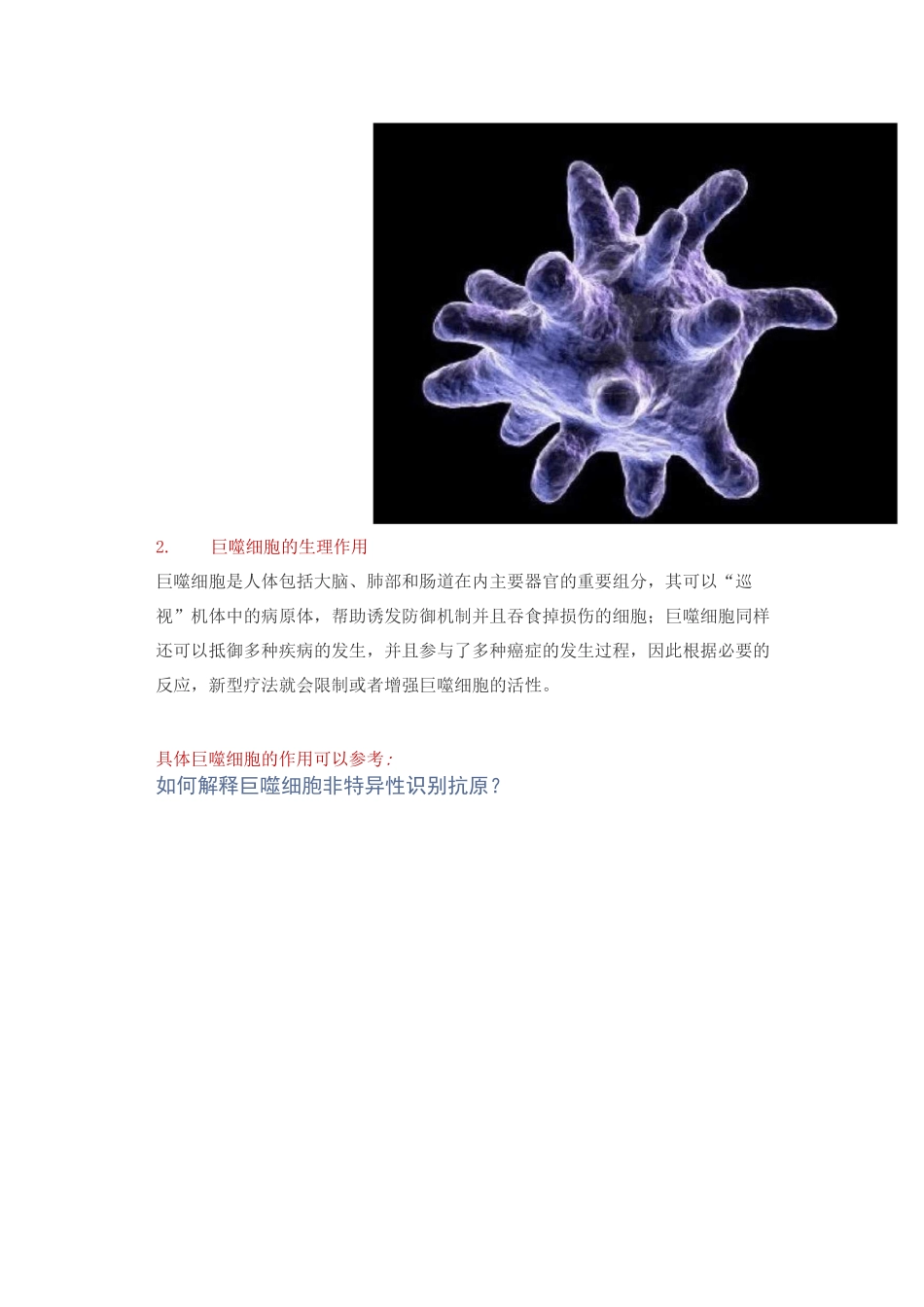 免疫专题：单核细胞和巨噬细胞的功能和关系_第3页