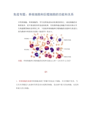 免疫专题：单核细胞和巨噬细胞的功能和关系