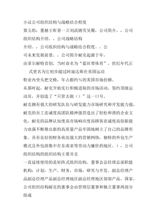 小议NIKE公司组织结构与战略结合程度