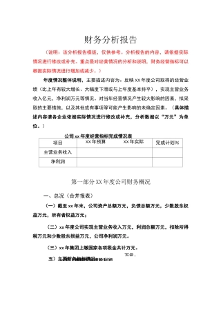 年度财务报告 模板