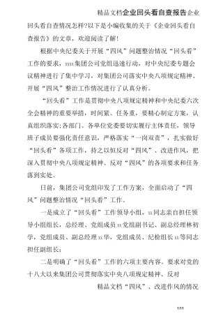 企业回头看自查报告
