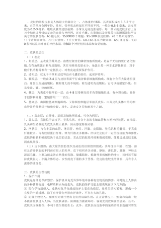 美容师专业知识