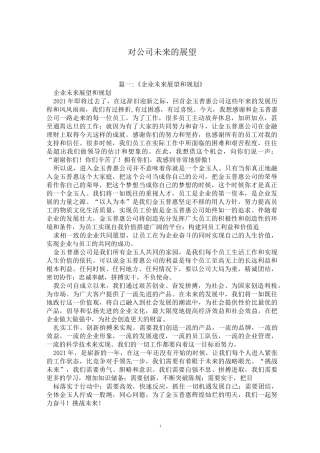 对公司未来的展望
