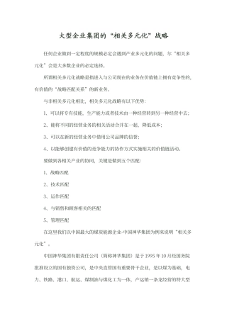 大型企业集团的“相关多元化”战略