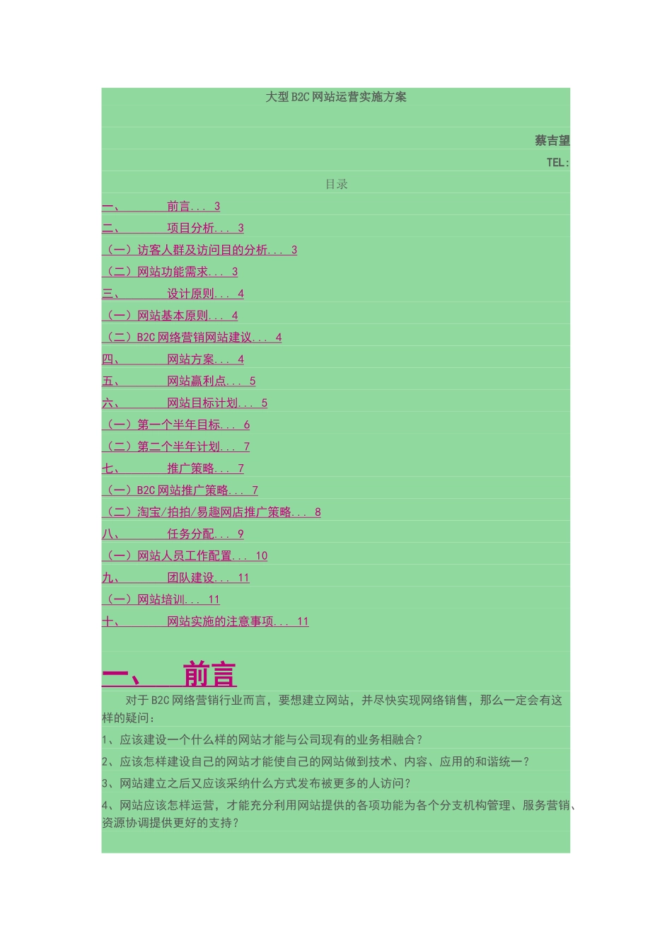 大型B2C网站运营实施方案_第1页