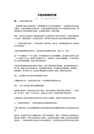 大型活动策划方案